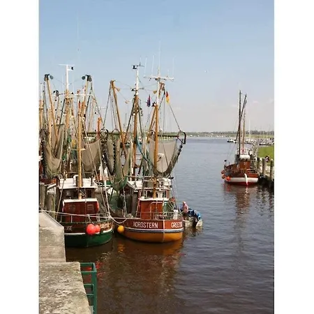 Holiday home Pilsum -