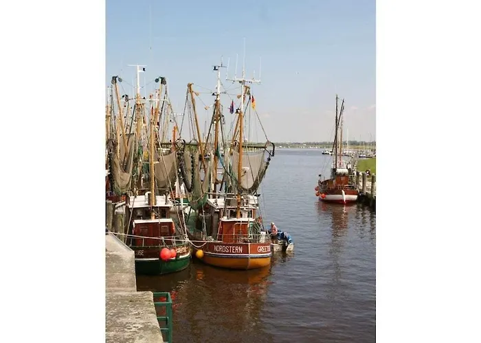 Dom wakacyjny Pilsum -